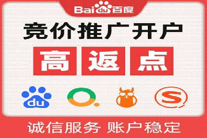 百度竞价广告案例分析：成功之道揭秘